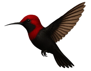 Arneaud Logo